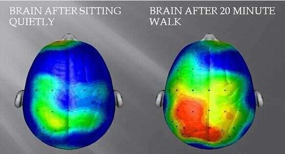 فعالیت مغز بعد از ۲۰ دقیقه پیاده روی